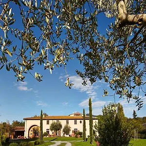  Bed & Breakfast Ai Condotti Di Pisa Da Filippo Italia