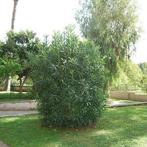  Bed & Breakfast Eur Italia